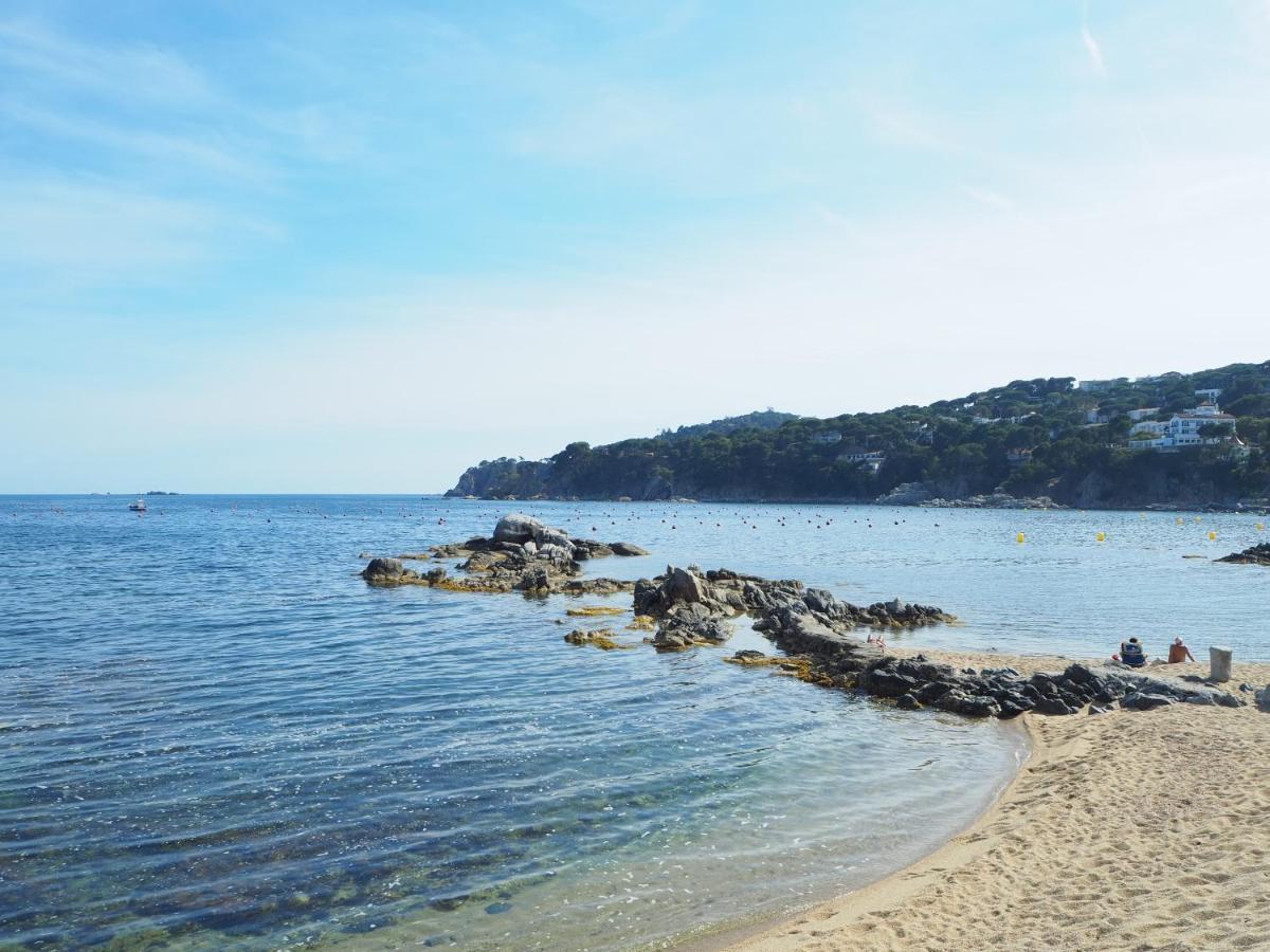 Amb Piscina I Aparcament - Baixos Amb Jardinet
